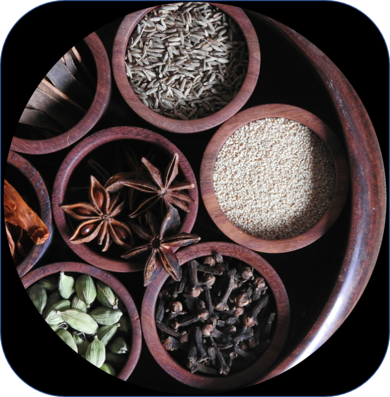 INDIAN SPICES