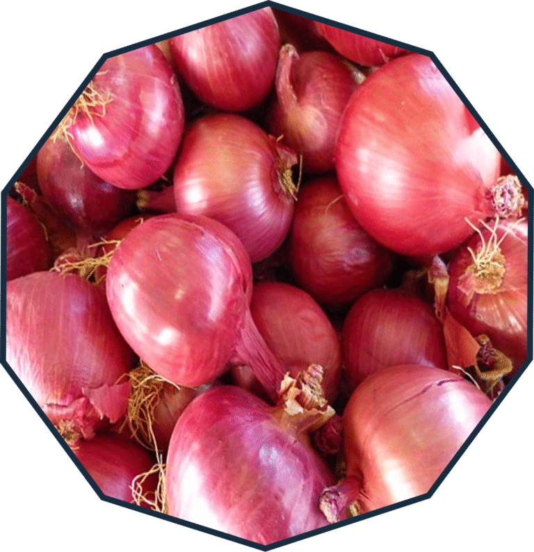 Onion