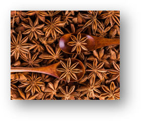 STAR-ANISE-BADIAN-PHOOL-1
