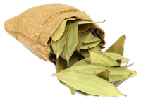 BAY LEAVES